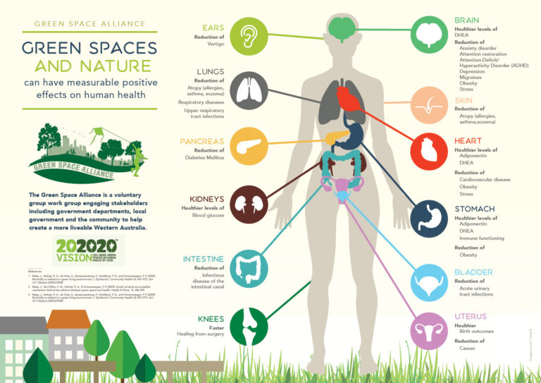 about-green-space-alliance